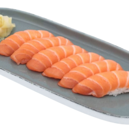 Comida de salmón 20 pzas.